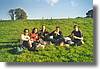 13-picnic.jpg